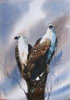 My Gallary - Eagle - Water Colour